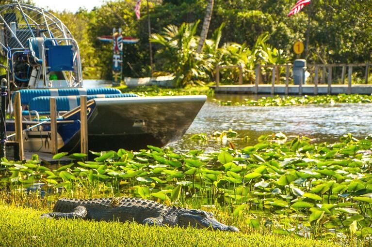 10+ Things to Do in Miami for Teens Go City